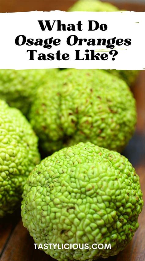 What Do Osage Oranges Taste Like Tastylicious Fruits And