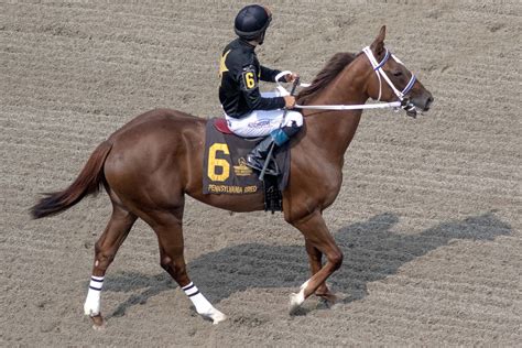 Pennsylvania-Breds in the Spotlight at Parx Racing — The Pennsylvania