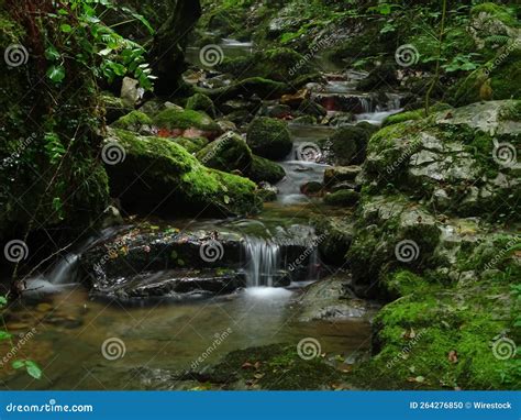 Small Waterfall Flowing Down The Mossy Rocks In A Rainforest In Gijon