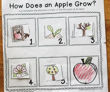Turgut uyar ay¸segu¨l gen¸cata emre harmancı. All About Apples {Literacy and Math Activities} by Keeping Life Creative