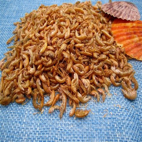 Dried Gammarus For Pet Fish Food High Nutrition Green Pet Care