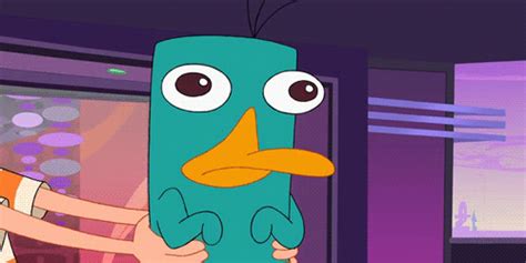 Perry the platypus gif 9 » GIF Images Download