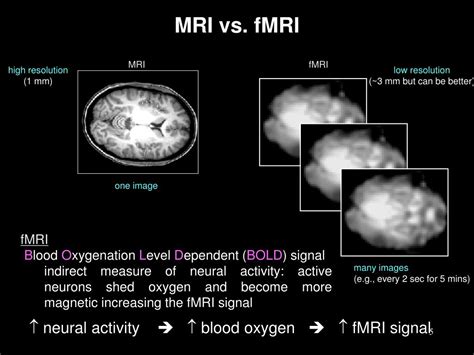 Ppt 1 Introduction To Fmri Powerpoint Presentation Free Download