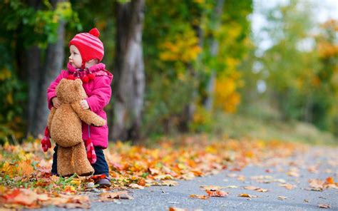 Child Bear Toy Autumn Leaves Nature Wallpaper Hd Cute