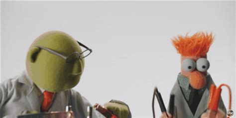 The Muppets Beaker  Find And Share On Giphy