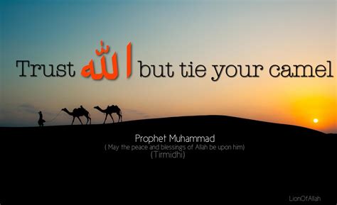 Which is the best quote for a wallpaper? Islamic Quotes Wallpapers Free Download 2015 | Picshayari