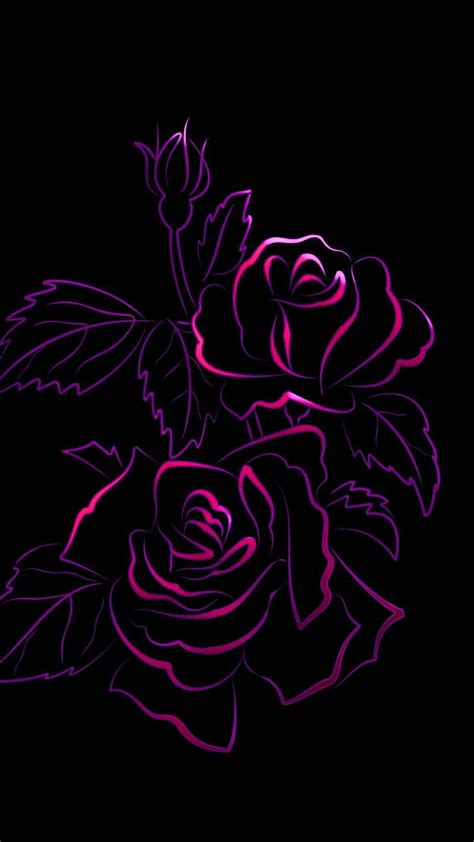 1920x1080px 1080p Free Download Roses Neon Black Rose Pink Red