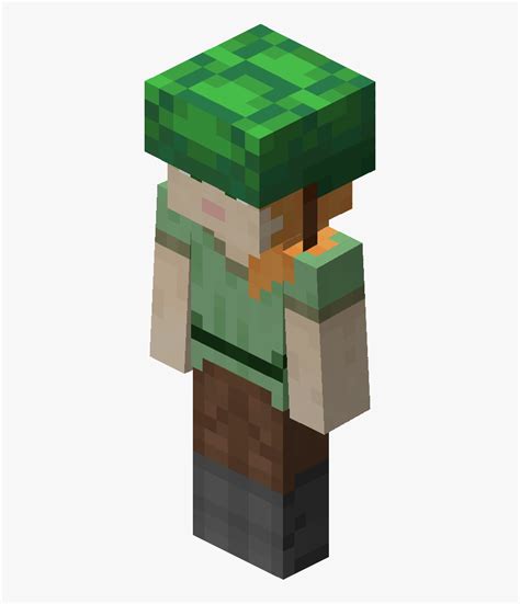 Minecraft Turtle Shell Helmet, HD Png Download , Transparent Png Image