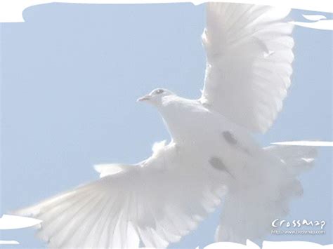Your dove holy spirit stock images are ready. Holy Spirit Wallpapers - Wallpaper Cave