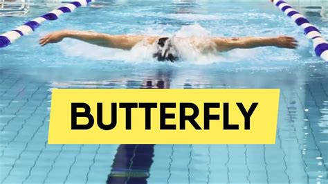 Butterfly Swimming How To Swim Smoothly Step By Step Guide Swimup