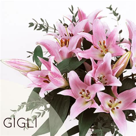 We did not find results for: Per Il Novantesimo Compleanno Che Fiore Si Regala? - Fiori ...