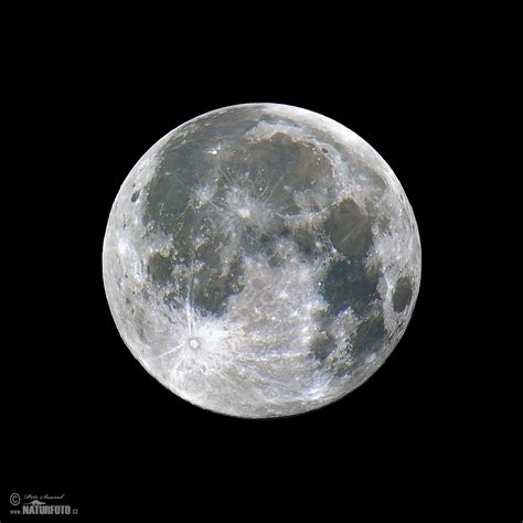 Moon Photos Moon Images Nature Wildlife Pictures Naturephoto