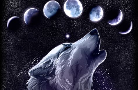 ❤ get the best wolf wallpapers on wallpaperset. 43+ Cool Black Wolf Wallpaper on WallpaperSafari