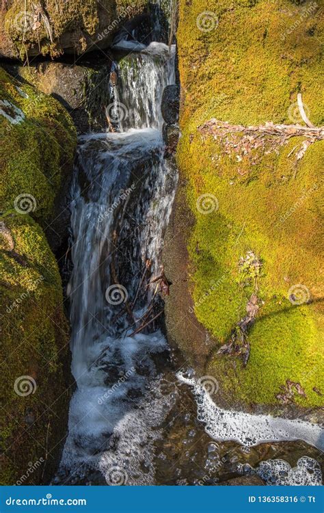 Small Waterfall At A Creek With Rocks Stock Photo Image Of Falling