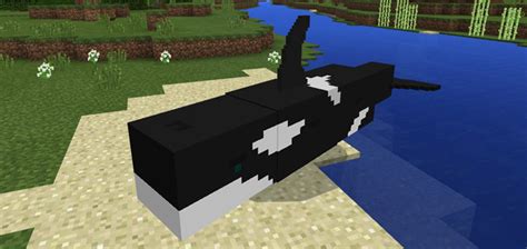 Orca Add On Minecraft Pe Mods And Addons