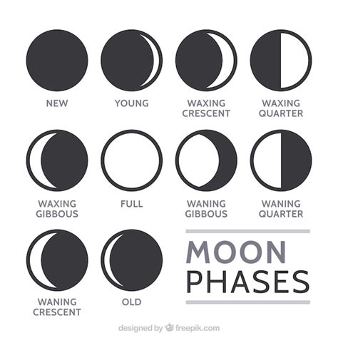 Premium Vector Moon Phases