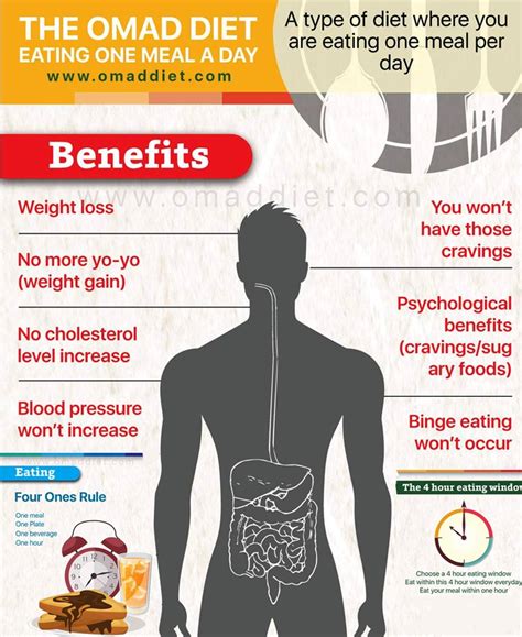 As a result, you finish that meal feeling full and satisfied. The Omad Diet - Eating One Meal a Day - Infographics ...