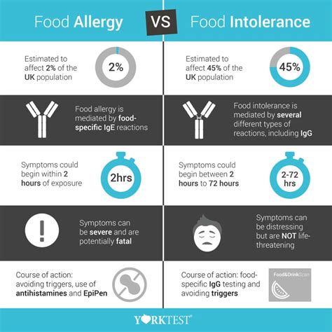 Food Allergies Intolerances And Sensitivities Explained Just For