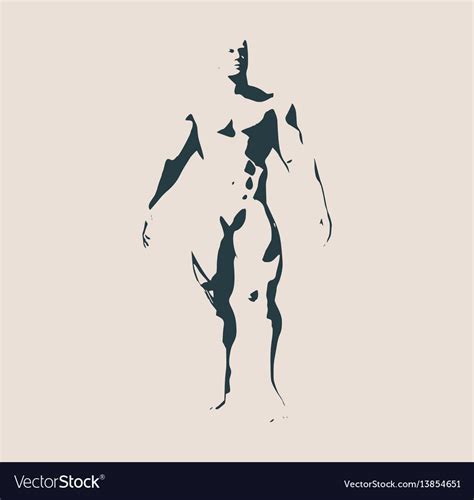 bodybuilder silhouette isolated royalty free vector image