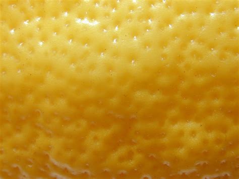 Imageafter Photos Lemon Skin Fruit Closeup Close Up Yellow