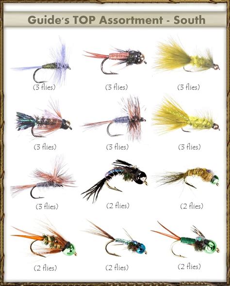 Amazon Com Fly Fishing Flies Guide S TOP Assortment South Flies Dry Fishing Flies