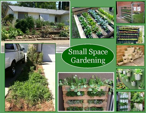 Small Space Container And Vertical Gardening Grange Garden