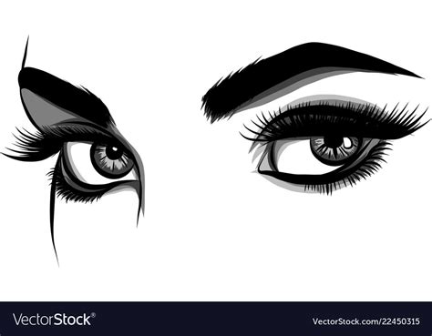 detailed female eyes with long eyelashes vector image