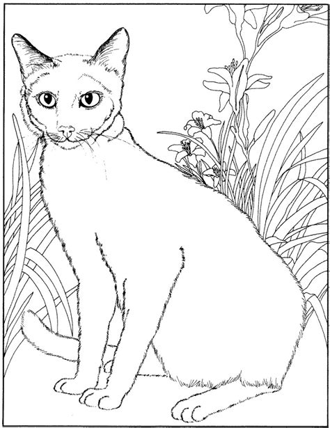 Here is a unique collection of free printable cat coloring pages for kids of all ages. Siamese cat - Animals Adult Coloring Pages