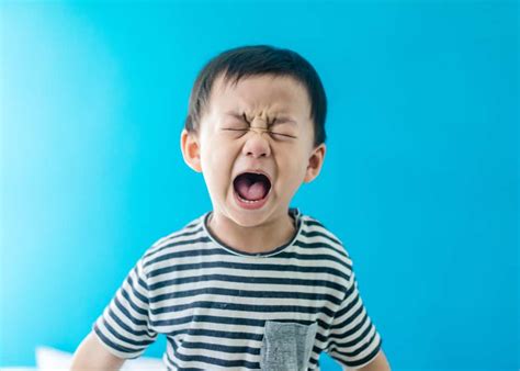 Toddler Screaming Main Reasons And Ways To Handle It Littleonemag