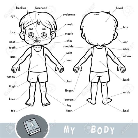 Human Body Parts Clipart Black And White Free Human Body Outline