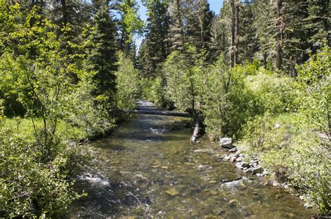 Crow Creek Trail Offers A Hidden Montana Gem State And Regional