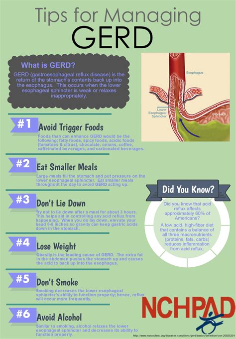 The magnetic attraction of the beads keeps it loose enough to let food pass through into the stomach, but tight enough to stop reflux. GERD Awareness Week : NCHPAD - Building Healthy Inclusive ...