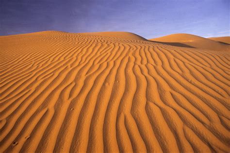 Photo Désert De Mauritanie Les Rides De Sable Sculptent La Dune