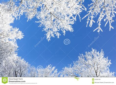 Snowy Winter Scene Stock Image Image Of November Pretty