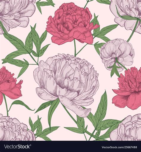 Floral Seamless Pattern With Beautiful Peony Vector Image