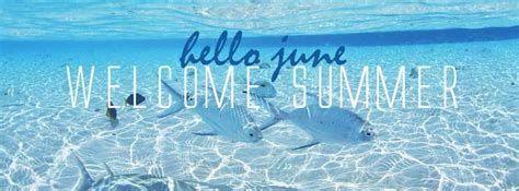 Dark modern luxury restaurant promotion facebook cover. Hello June, Welcome Summer - Facebook cover | FB Covers ...