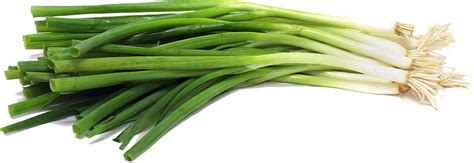 Hey?) one thing you should remember when you make this green onion salad is, you should mix the dressing with 1. Download Green Onion File HQ PNG Image | FreePNGImg