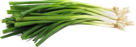 Download Green Onion File HQ PNG Image | FreePNGImg