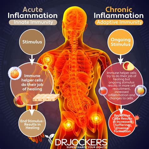 Top 12 Inflammatory Lab Markers And Optimal Ranges