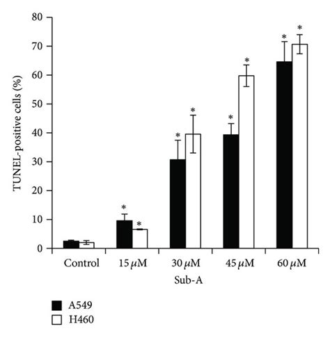 Sub A Induced Apoptosis In A549 And Nci H460 Cells A The Dna Download Scientific Diagram