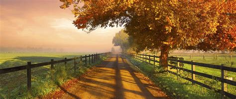 Nature Photography Landscape Fence Dirt Road Morning Sunlight