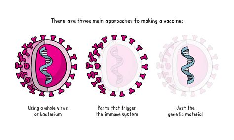 Covid Vaccine / Why Emergency Covid Vaccine Approvals Pose A Dilemma