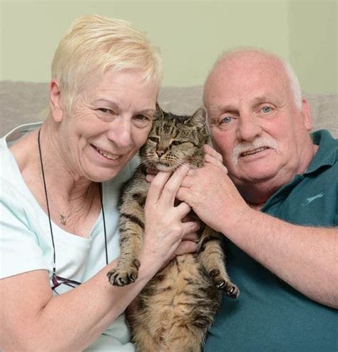 Nice Meet Nutmeg The Cat The 31 Year Old Cat The Oldest Living Cat In