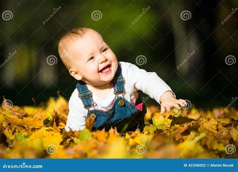 Smile Beautiful Fall Sunny Day Stock Photo Image Of Person
