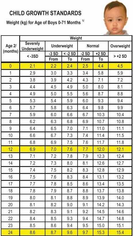 Baby Weight And Length Chart Beautiful Baby Height And Weight Chart By