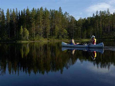 Canoe Tours On Svartälven In Sweden Nature Travels