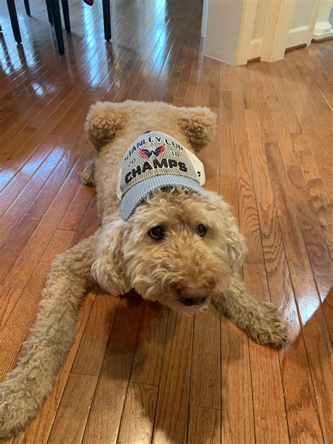 Securities and exchange commission (sec) have filed charges against a cryptocurrency trading platform that allegedly defrauded thousands of investors out. Learned today that my dog needs to be put down tomorrow ...