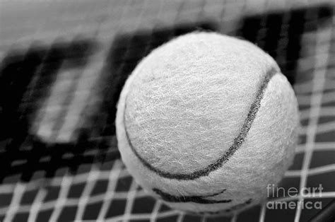 Remember The White Tennis Ball Photograph By Kaye Menner