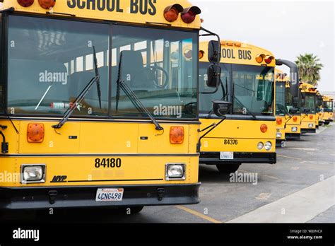 Autobuses Escolares Estacionados Fotografías E Imágenes De Alta