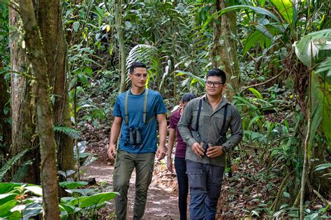 Rainforest Hiking Tour Maquenque Ecolodge